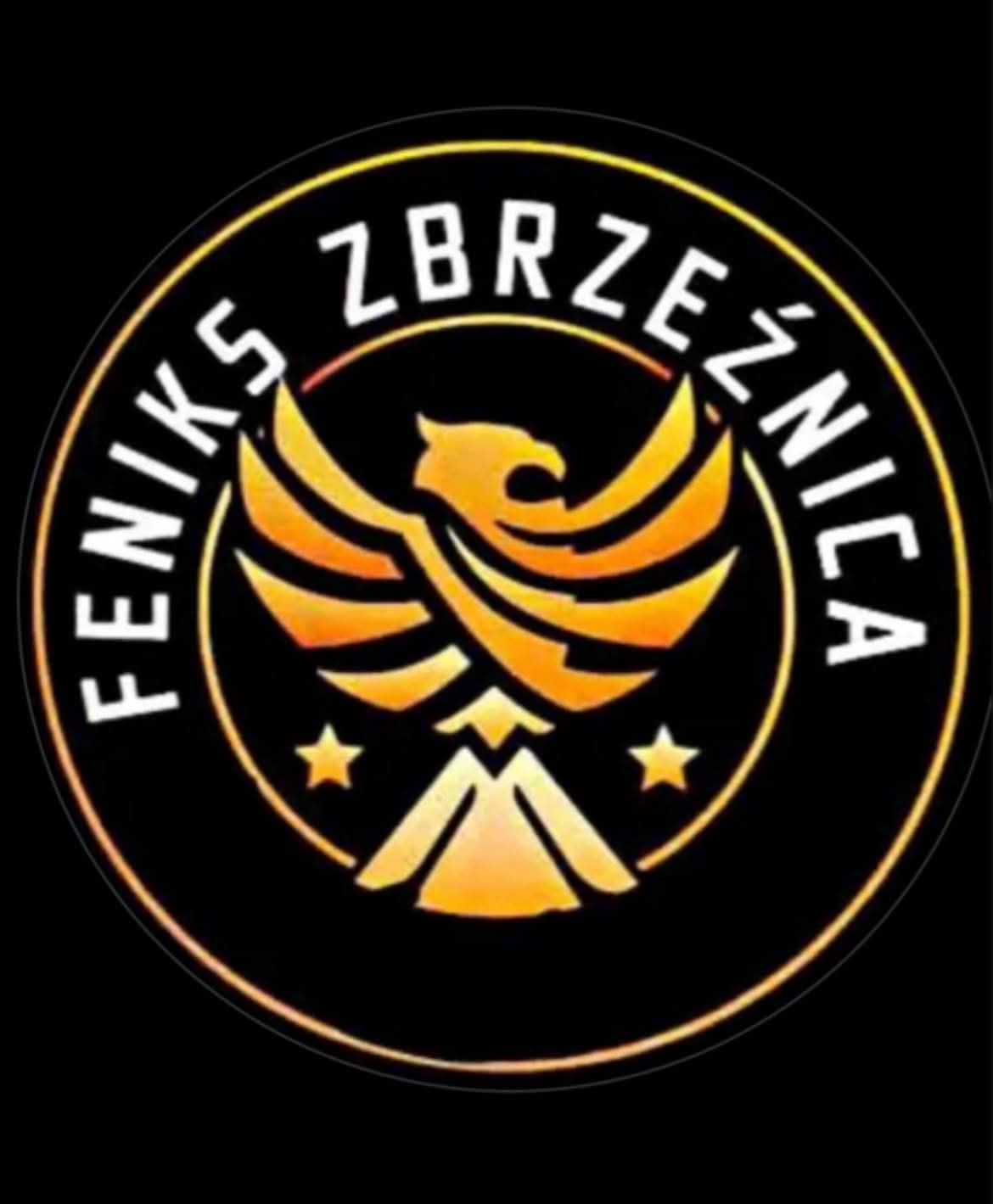 Logo Feniks Zbrzeźnica